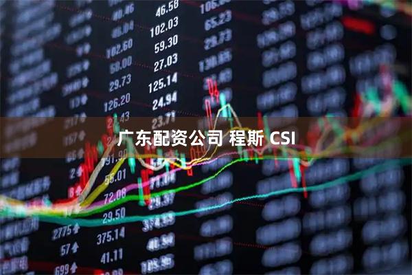 广东配资公司 程斯 CSI