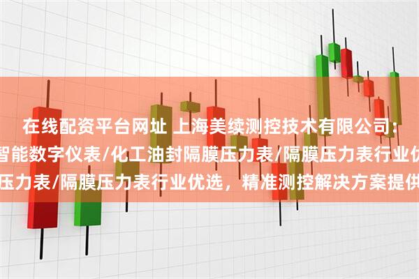 在线配资平台网址 上海美续测控技术有限公司：耐震压力表/差压表/智能数字仪表/化工油封隔膜压力表/隔膜压力表行业优选，精准测控解决方案提供商